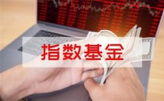 什么样的基金适合定投?适合定投的指数基金