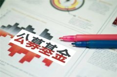 公募基金的优点有哪些?公募基金有哪些特征?