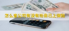 怎么查公司有没有给自己上保险