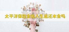 太平洋保险金佑人生返还本金吗，不返