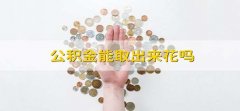 公积金能取出来花吗