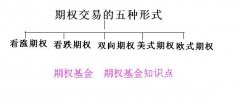 期权基金是什么？期权基金价格影响因素