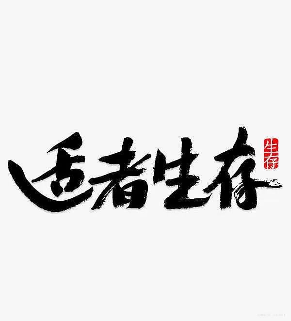 币海鹰眼：必看！数字货币投资的五大交易技巧